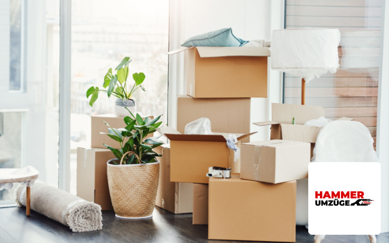 Webdesign Agentur Dortmund Referenz Umzugsunternehmen